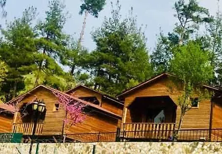 ıpekböceği Park *